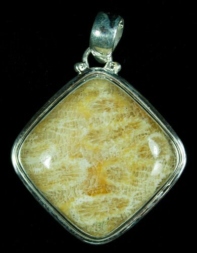 Fossil Coral Pendant - Sterling Silver #6007